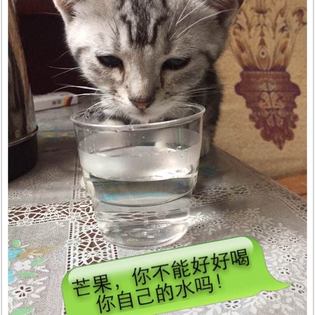 台湾国立中山大学硕士毕业证